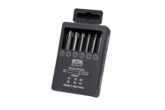 AS4053.410 Rittal Bit industrial set 6 pcs. Torx