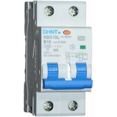 nb310l-b06 chint rcbo 6a b curve type a 2 pole  